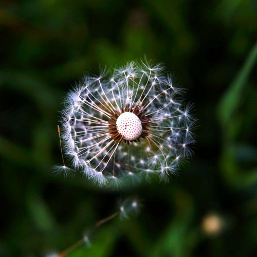 Photo #13856184