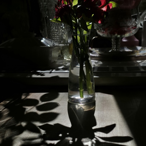 Photo #13856203