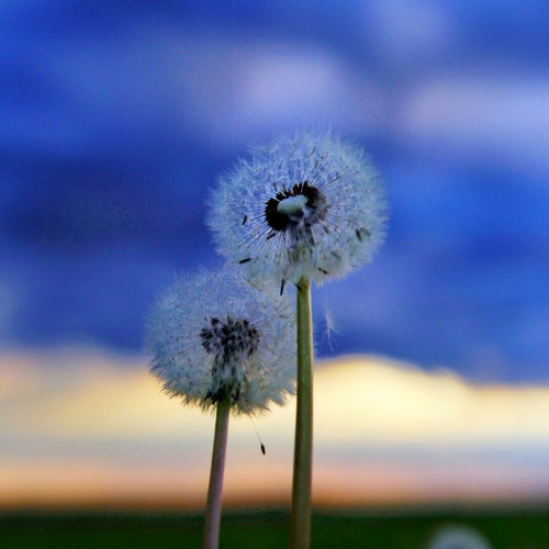 Photo #13856220