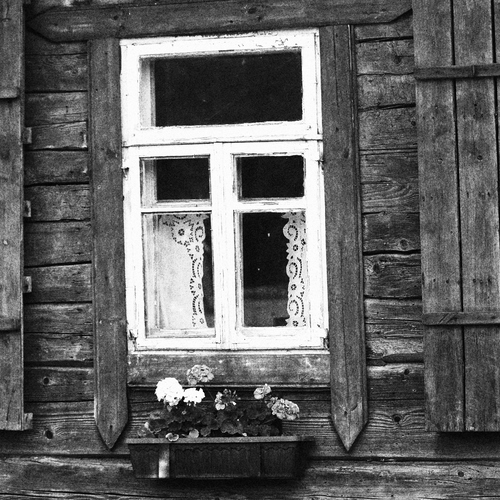 Фотография #13856241