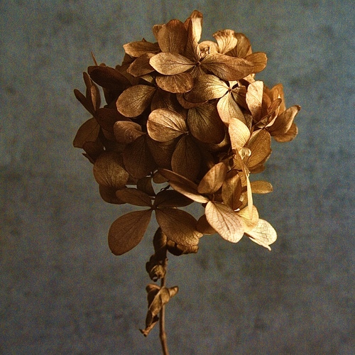 Photo #13856287