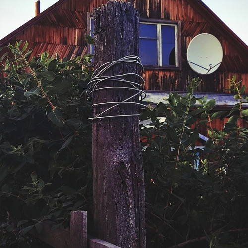 Photo #13856302
