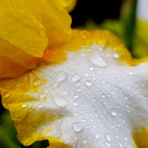 Photo #13856376