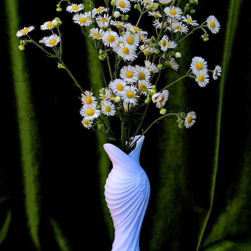 Photo #13856386