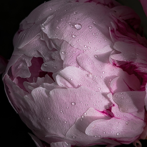Photo #13856445