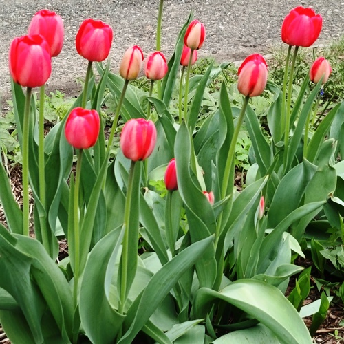 Photo #13856462