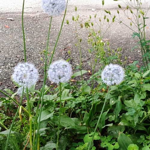 Photo #13856470