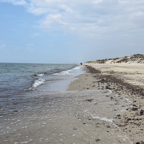 Photo #13856553