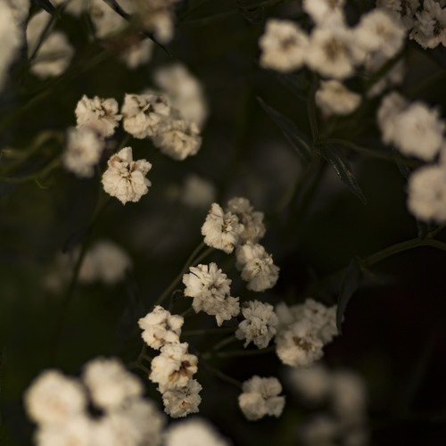 Photo #13856638
