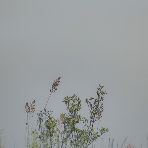 Photo #13856653