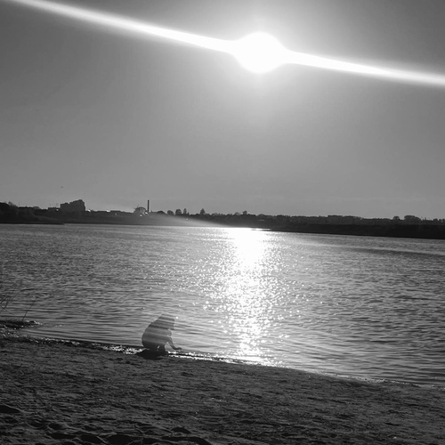 Photo #13856689