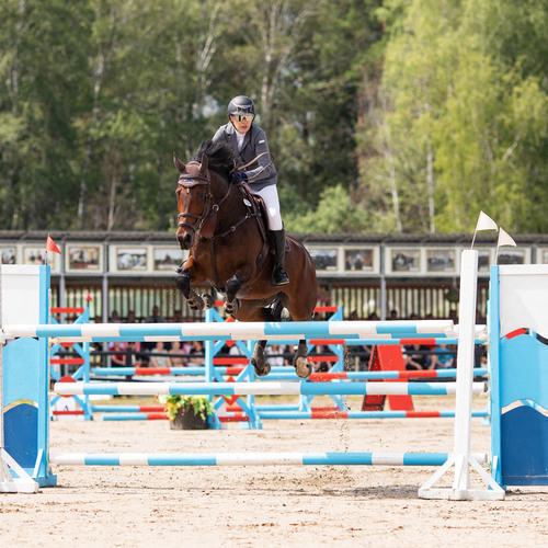 Photo #13856697