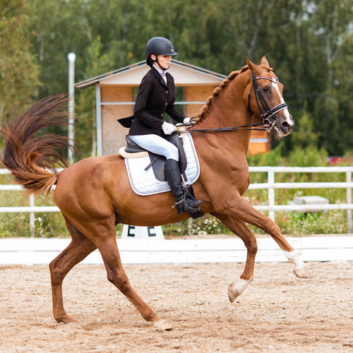 Photo #13856704