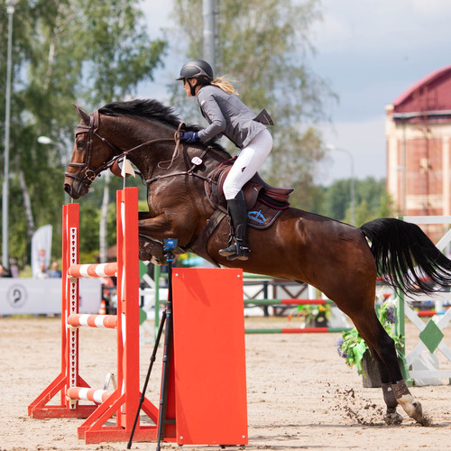 Photo #13856721