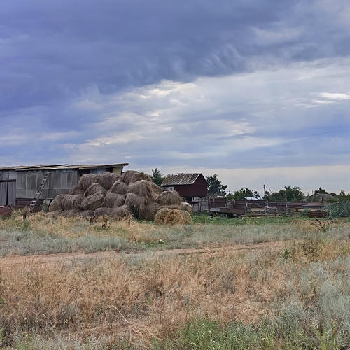 Photo #13856866