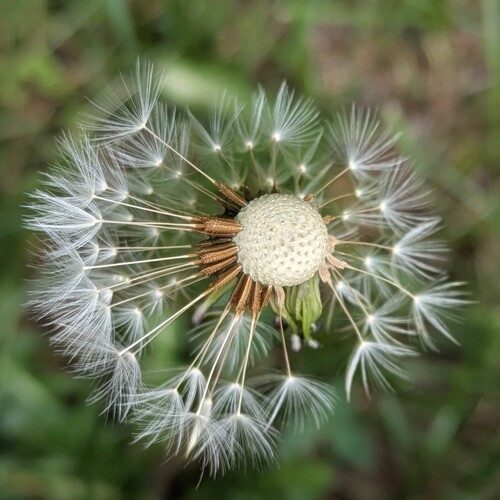 Photo #13856896