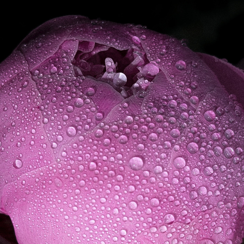 Photo #13856906