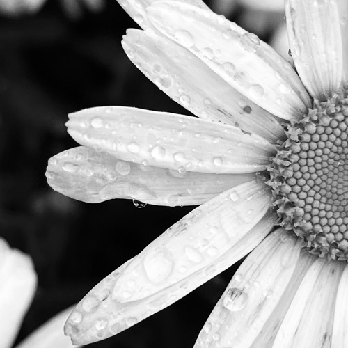 Photo #13856968