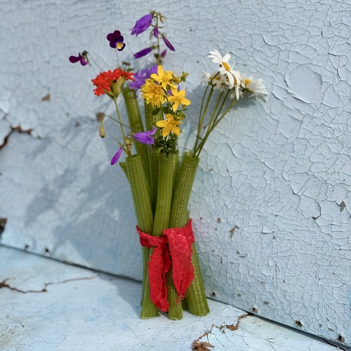 Photo #13857056