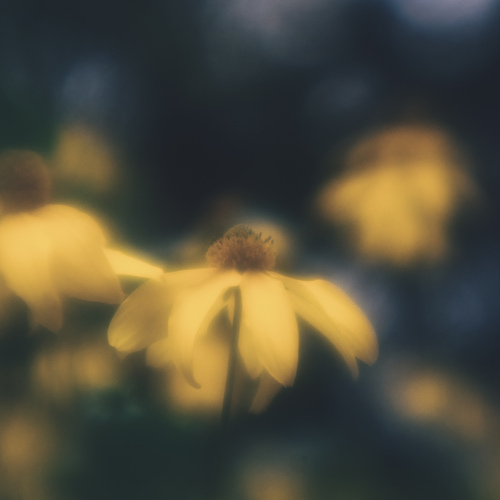 Photo #13857058