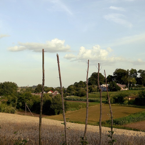 Photo #13857176