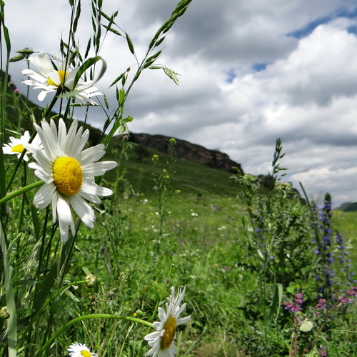 Photo #13857211