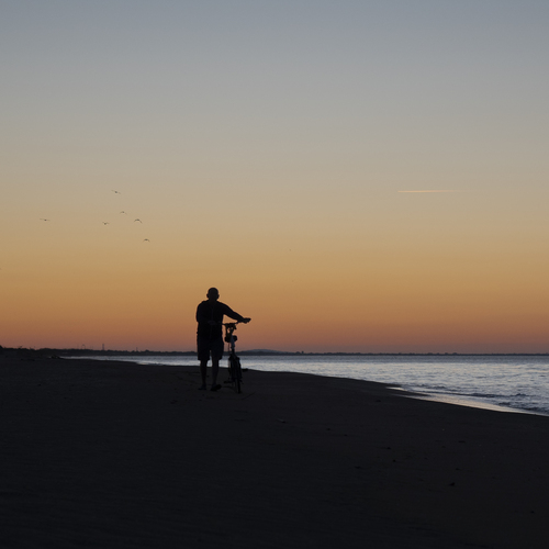 Photo #13857242