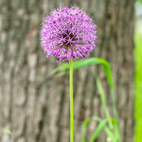 Photo #13857385