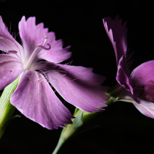 Photo #13857406