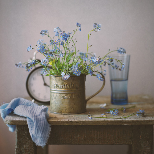 Liliya Rodionova
