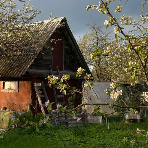 Photo #13857436