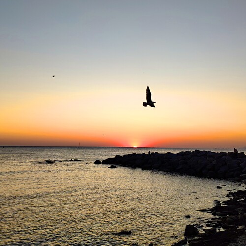 Photo #13857438