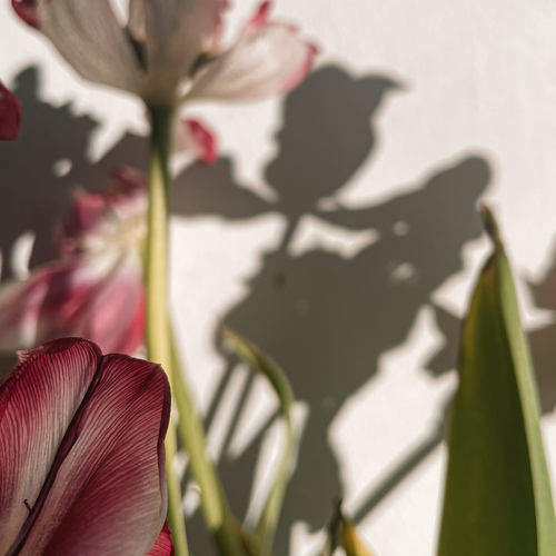 Photo #13857458
