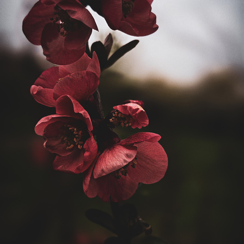 Photo #13857545