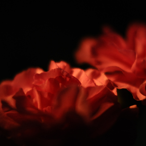 Photo #13857608