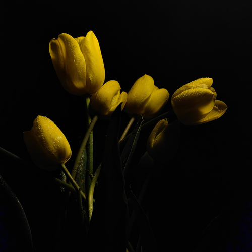 Photo #13857613