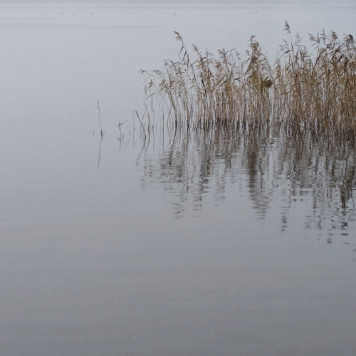 Photo #13857639
