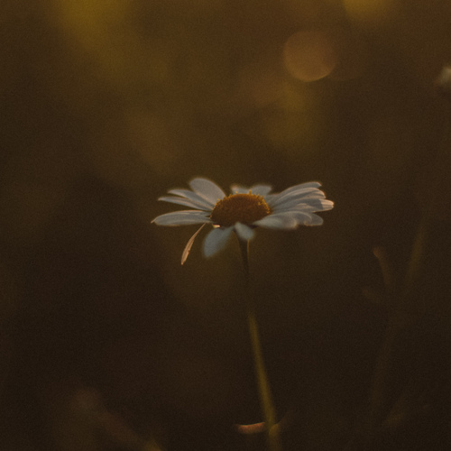Photo #13857648