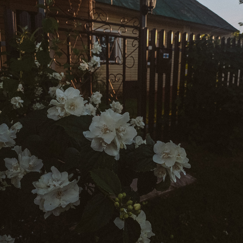 Photo #13857658
