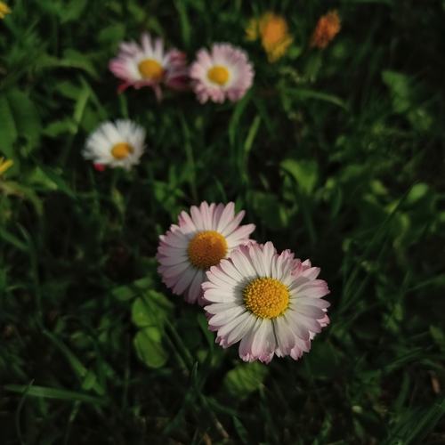Photo #13857693