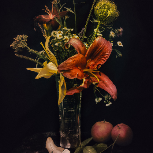 The Language of Flowers
