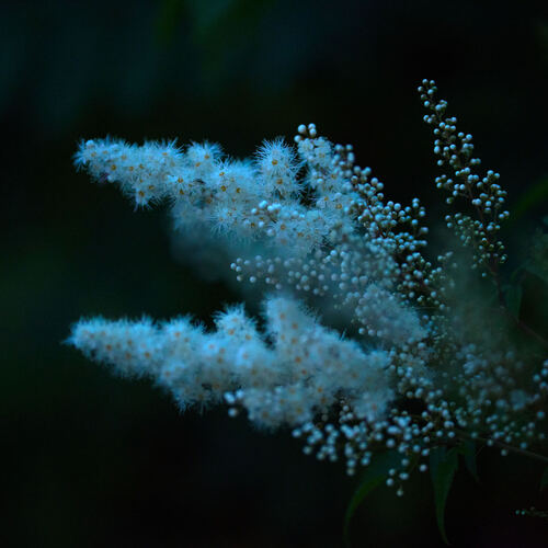Photo #13857709