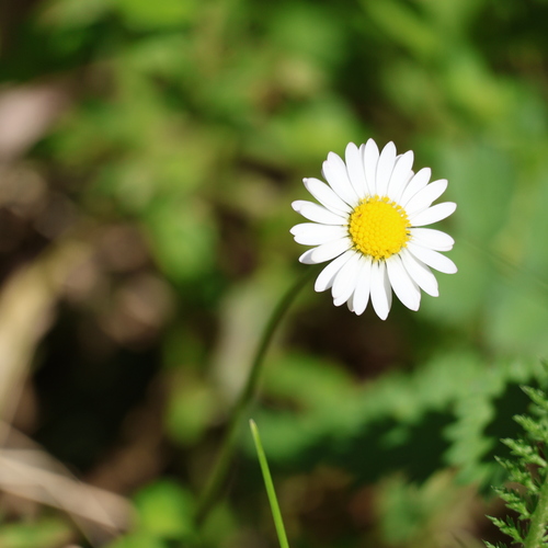 Photo #13857734