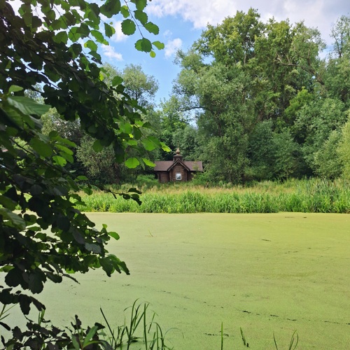 Photo #13857802