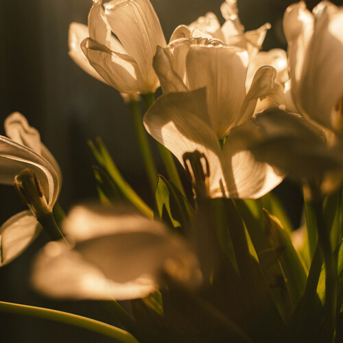 Photo #13857806
