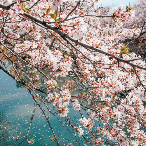 Photo #13857885