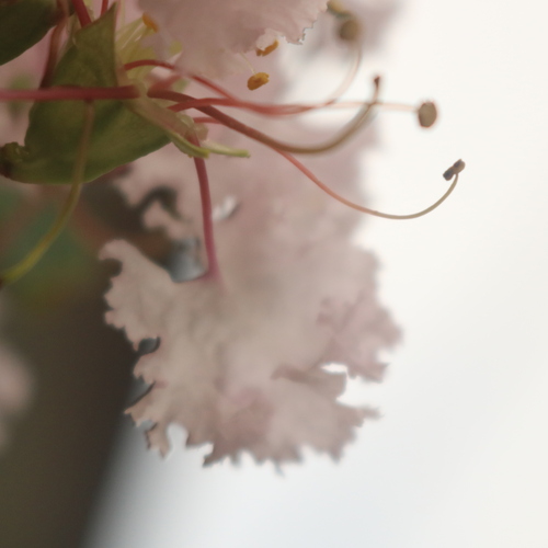 Photo #13858038