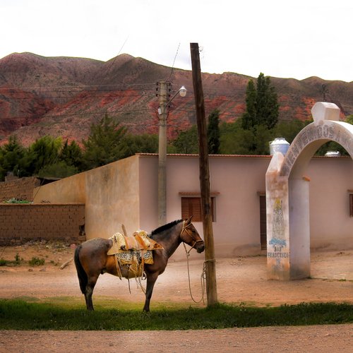 Photo #13858046