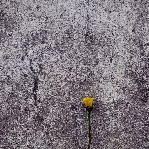 Photo #13858149