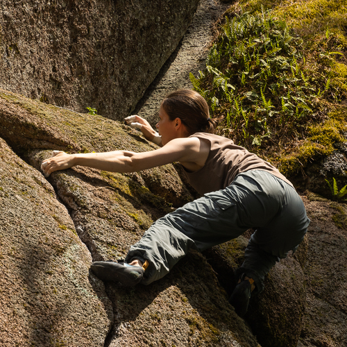 Photo #13858227
